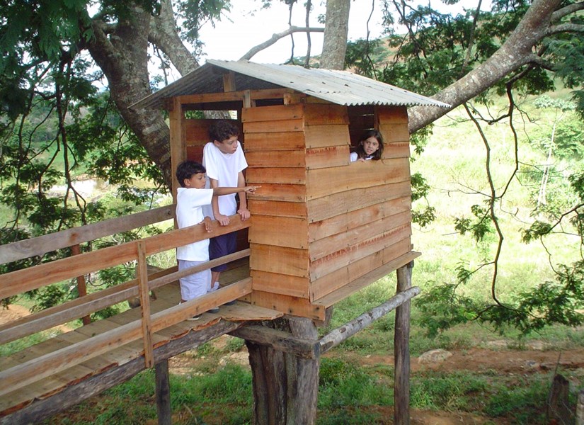 Casinha da árvore